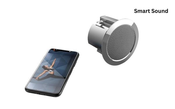 Loa IW3 LCR - Thông số kỹ thuật, Ứng dụng và Cấu tạo