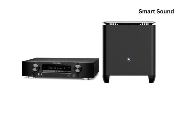 Loa subwoofer 10 inch Snailpower tích hợp trong hệ thống âm thanh nhà thông minh