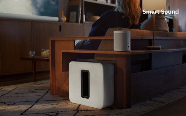 loa subwoofer nhỏ gon