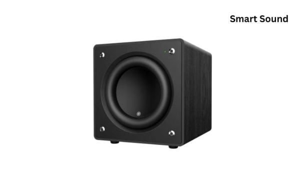 Loa Subwoofer X135 Snailpower với âm bass mạnh mẽ và thiết kế tinh tế