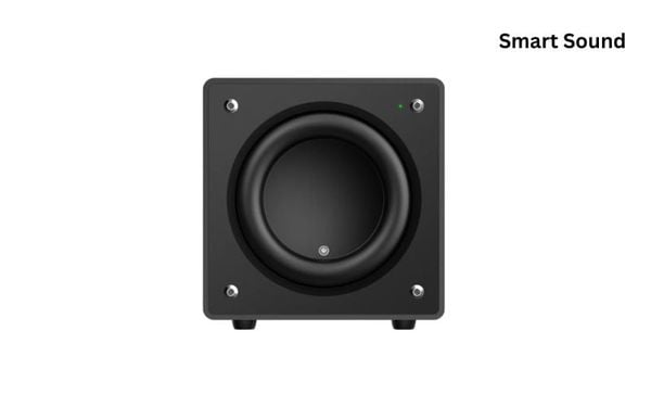 Ứng dụng loa Subwoofer X135 Snailpower trong hệ thống âm thanh đa vùng tại nhà