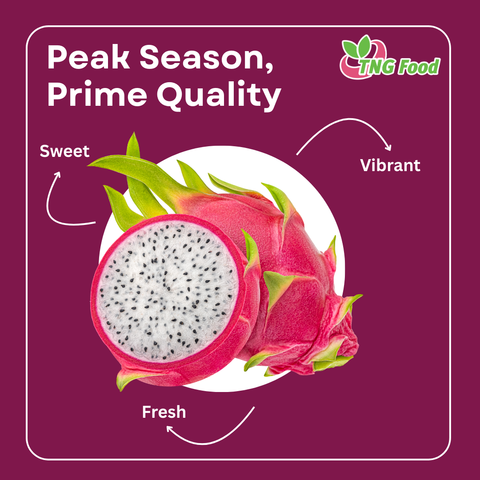 Peak Vietnam Dragon Fruit Season Is On