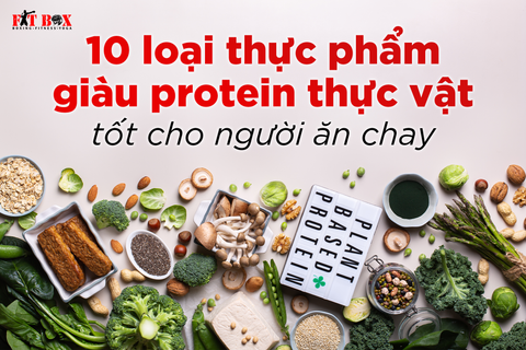 10 LOẠI THỰC PHẨM GIÀU PROTEIN THỰC VẬT TỐT CHO NGƯỜI ĂN CHAY