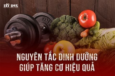 NGUYÊN TẮC DINH DƯỠNG GIÚP TĂNG CƠ HIỆU QUẢ