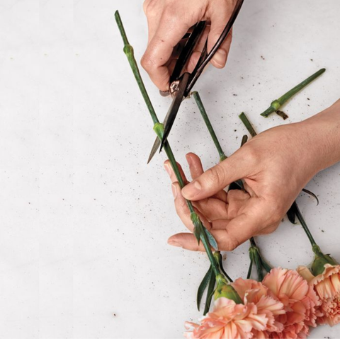 Tổng Hợp Các Mẫu Cắm Hoa Đẹp, Sang Trọng, Dễ Làm