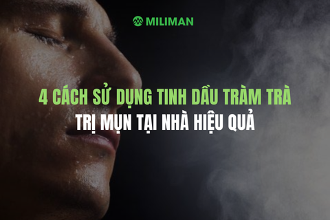 4 CÁCH SỬ DỤNG TINH DẦU TRÀM TRÀ TRỊ MỤN TẠI NHÀ HIỆU QUẢ VÀ AN TOÀN