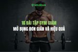 10 BÀI TẬP GYM GIẢM MỠ BỤNG ĐƠN GIẢN VÀ HIỆU QUẢ