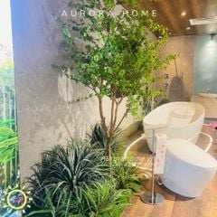 Trọn gói công trình thi công tiểu cảnh cây thạch nam tại Toto Showroom Hồ Chí Minh