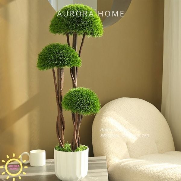 cay-tung-bonsai-gia-thiet-ke-theo-yeu-cau
