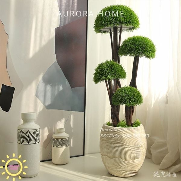 cay-tung-bonsai-gia-thiet-ke-theo-yeu-cau