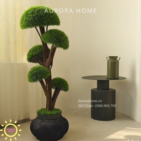 cay-tung-bonsai-gia-thiet-ke-theo-yeu-cau