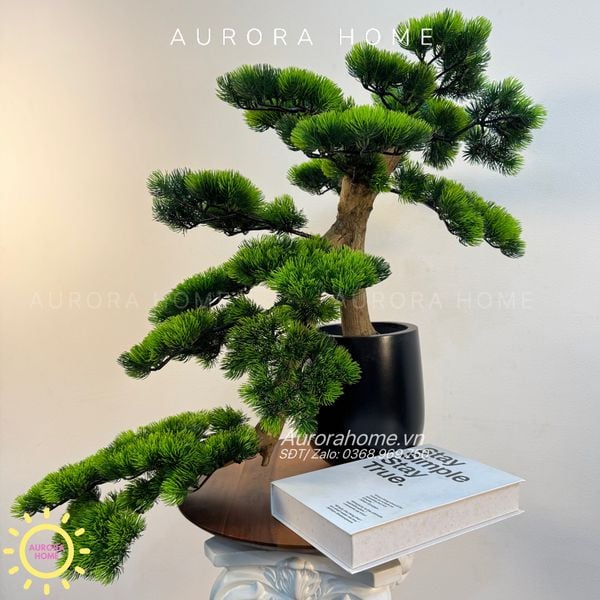 cay-tung-bonsai-gia-thiet-ke-theo-yeu-cau