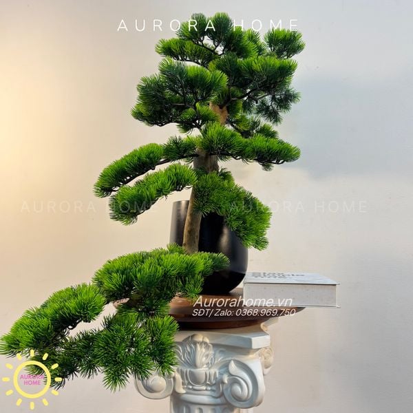 cay-tung-bonsai-gia-thiet-ke-theo-yeu-cau