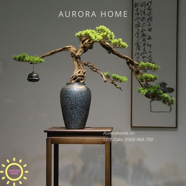 cay-tung-bonsai-decor