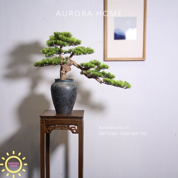 cay-tung-bonsai-gia-thiet-ke-theo-yeu-cau