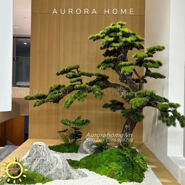 cay-tung-bonsai-gia