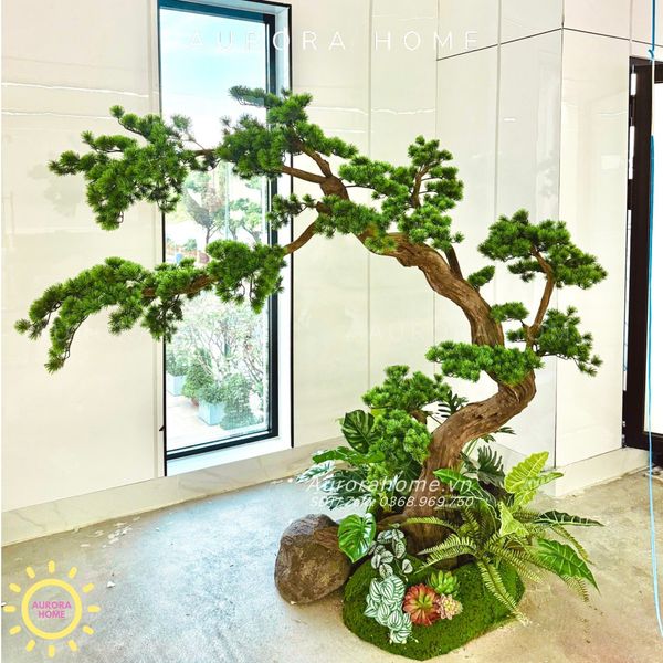 cay-tung-bonsai-than-go-lua-xinh-xan