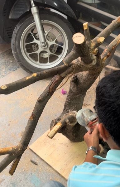 thiet-ke-cay-tung-bonsai-theo-yeu-cau