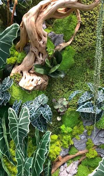 tranh-tuong-reu-bao-ton