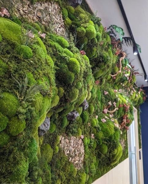 tuong-reu-bao-ton-cao-cap