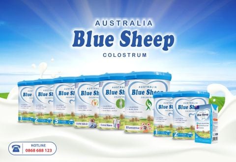 Blue Sheep Colostrum Sure Gold and Canxi Nano - Liệu pháp an thần tự nhiên cho người cao tuổi