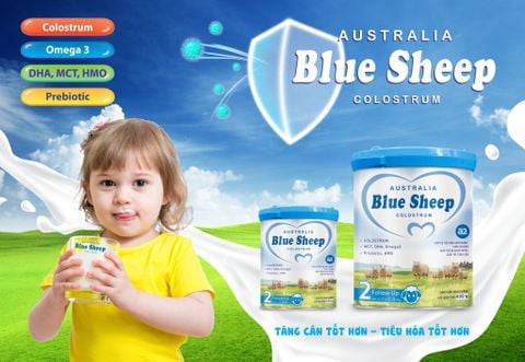 Blue Sheep Colostrum – Nguồn dinh dưỡng đầy đủ dành cho bé yêu của mẹ.