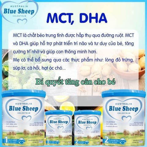 BLUE SHEEP COLOSTRUM – Bổ sung MCT giúp bé tăng cân hiệu quả