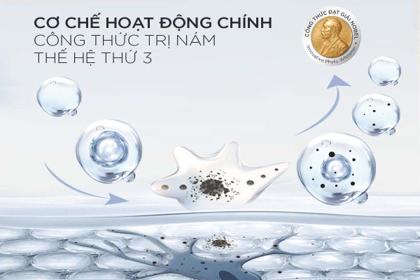 co che hoat dong chinh