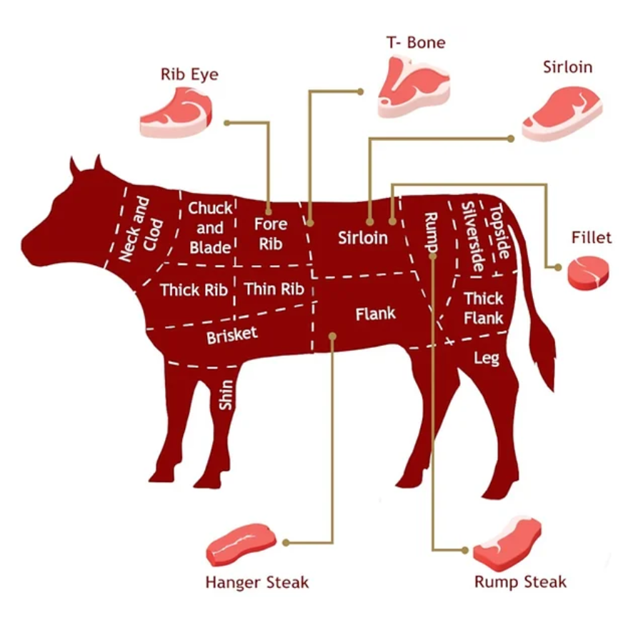 Hướng dẫn phân biệt các phần thịt bò vô cùng đơn giản