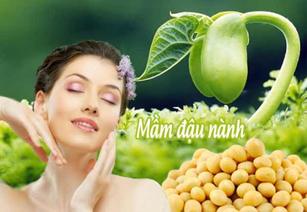 Giá trị dinh dưỡng của hạt đậu nành Giá trị dinh dưỡng của hạt đậu nành