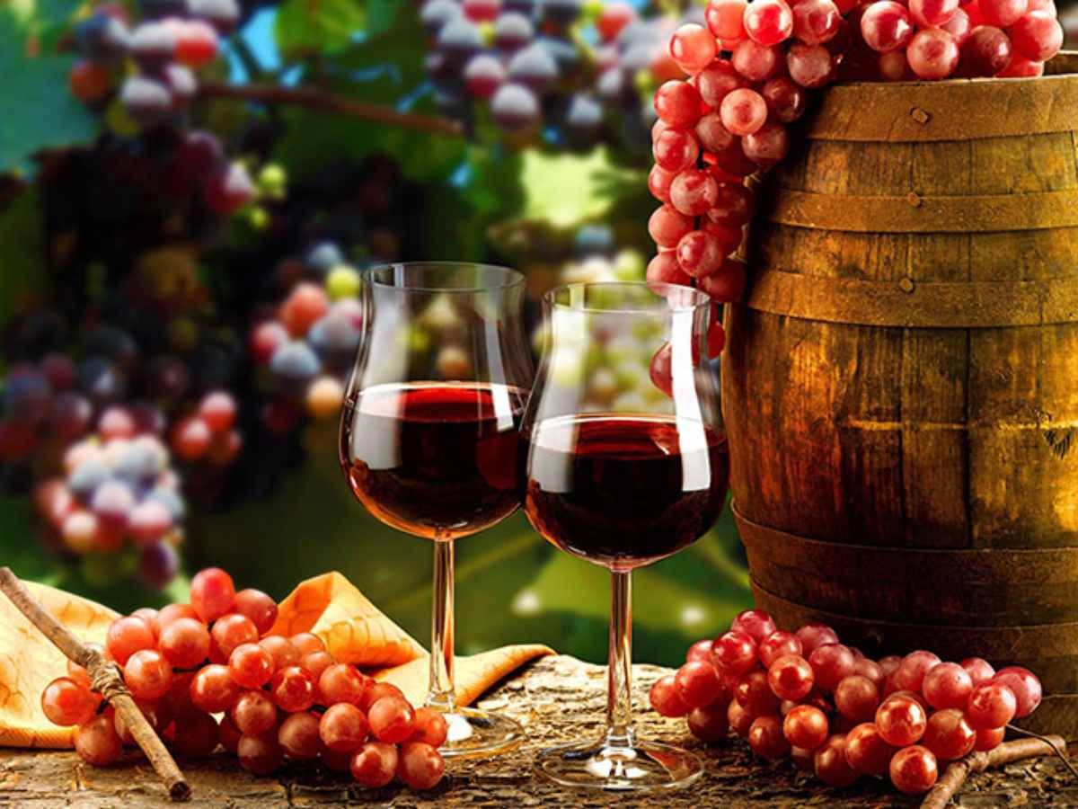 Uống rượu vang đỏ đúng cách tốt cho sức khỏe tim mạch