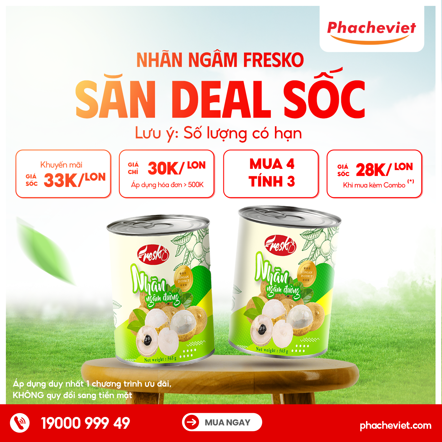 SĂN SALE SỐC - Nhãn Ngâm Fresko