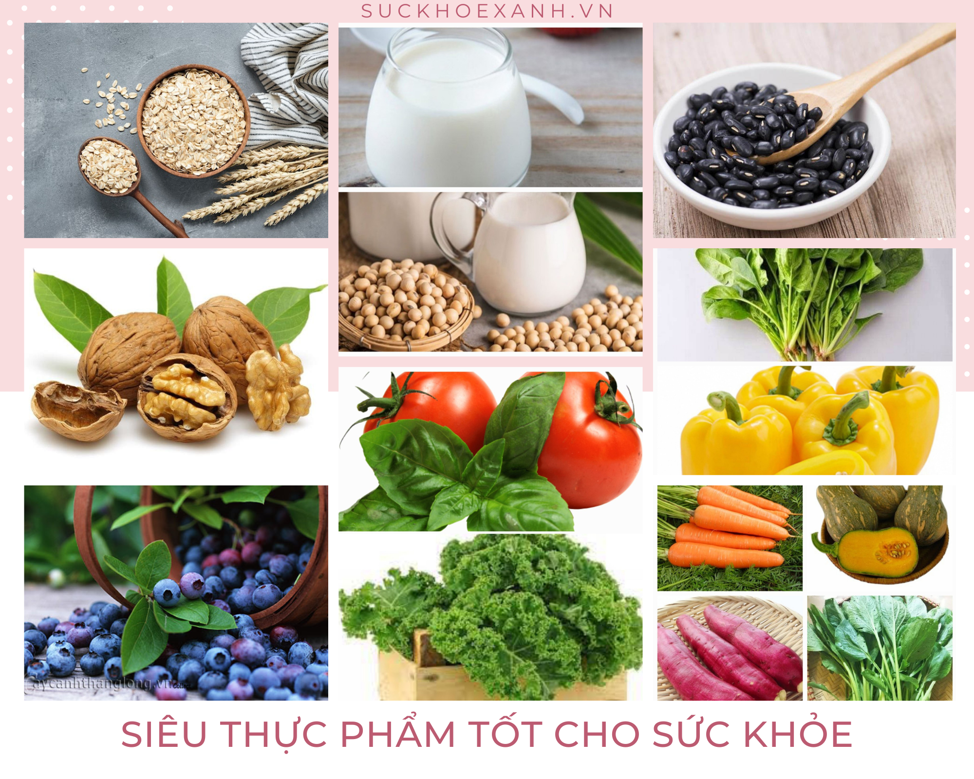 8 SIÊU THỰC PHẨM TỐT CHO SỨC KHỎE NÊN ĂN HÀNG NGÀY