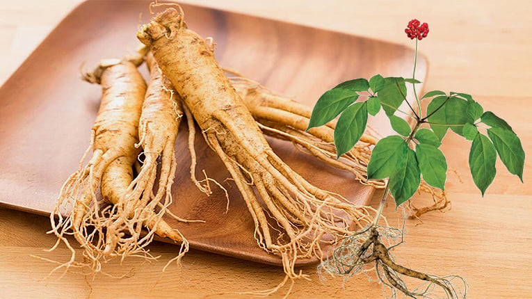 Nhân sâm Hàn Quốc (Panax ginseng) – Siêu Thị Hàn