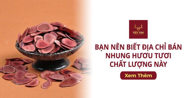 Bạn Nên Biết Địa Chỉ Bán Nhung Hươu Tươi Chất Lượng Này