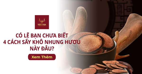 Có Lẽ Bạn Chưa Biết 4 Cách Sấy Khô Nhung Hươu Này Đâu?