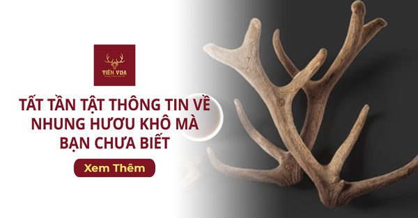 Tất Tần Tật Thông Tin Về Nhung Hươu Khô Mà Bạn Chưa Biết