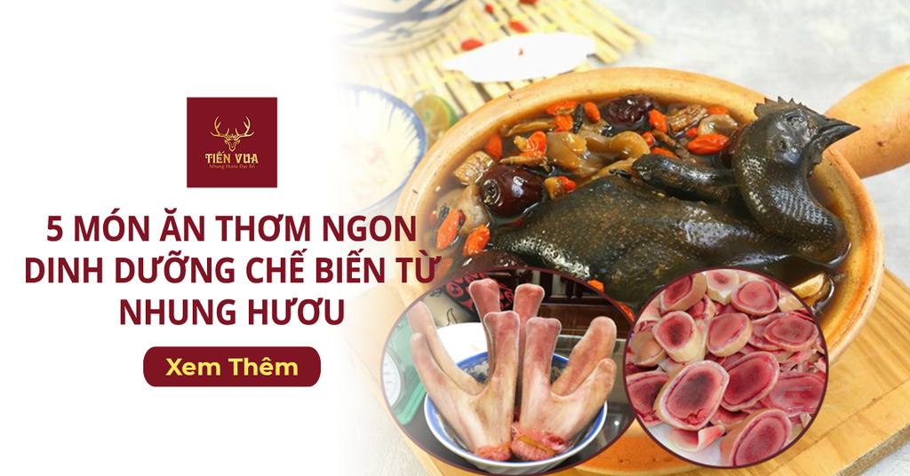 5 Món Ăn Thơm Ngon Dinh Dưỡng Chế Biến Từ Nhung Hươu