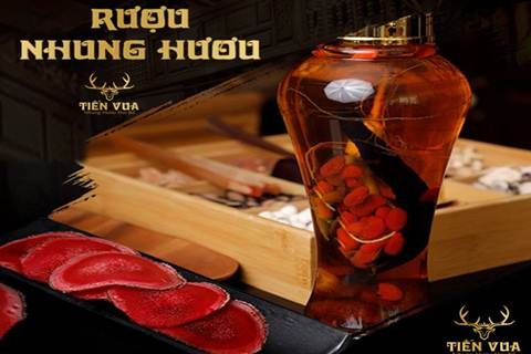 Lộc nhung hươu ôn thận, tráng dương