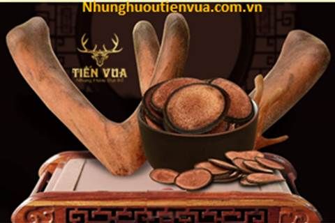 Nhung hươu tăng cường bản lĩnh phái mạnh