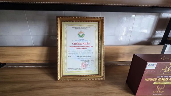 HƯƠU SAO TÂY NAM BỘ TIẾP TỤC KHẲNG ĐỊNH VỊ THẾ