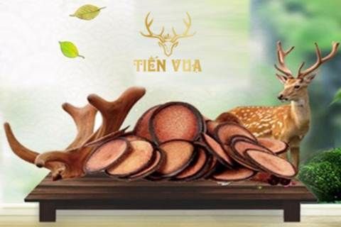 Nhung hươu giúp chàng tăng sức mạnh