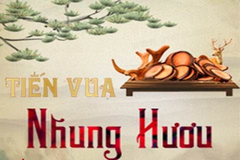 Nhung hươu vị thuốc hồi xuân