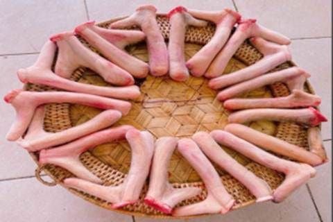 Nhung hươu bổ thận tráng dương, cường gân cốt