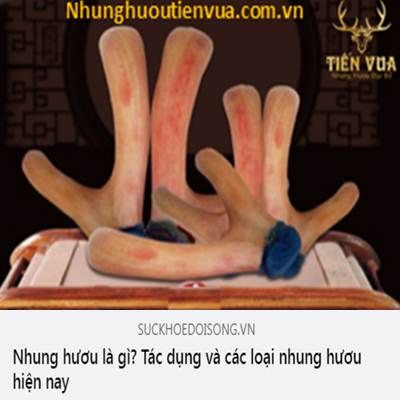 Những lợi ích từ nhung hươu