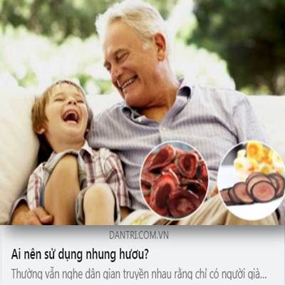 Công dụng Nhung hươu cho người Cao tuổi