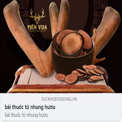 Cách dùng nhung hươu chữa bệnh