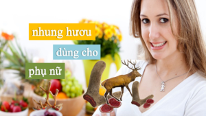 Công dụng Nhung hươu dành cho Phụ nữ