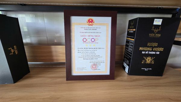 Giấy chứng nhận OCOP 3 sao cho sản phẩm Rượu nhung hươu Tiến Vua