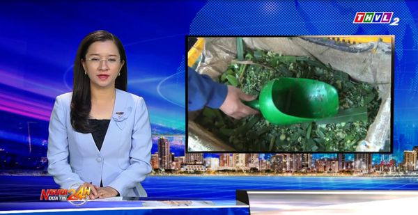 [THVL] HTX NUÔI HƯƠU ĐẦU TIÊN TẠI ĐỒNG BẰNG SÔNG CỬU LONG